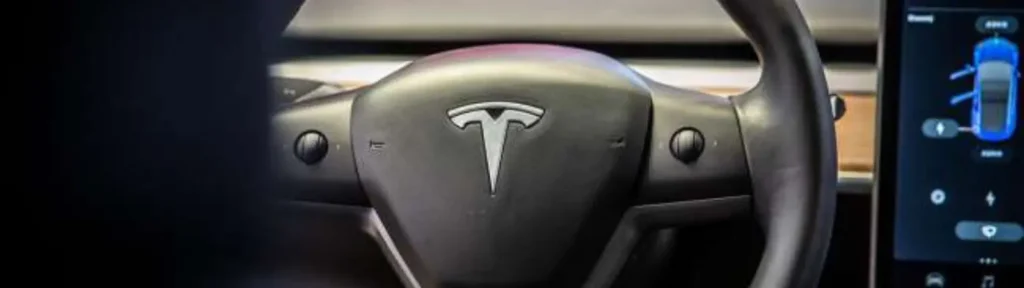 tesla robotaxi