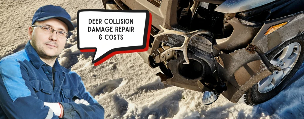 deer collision damage