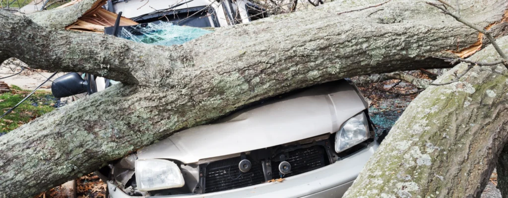 vehicle damage claim