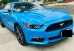 Auto Collision Firm